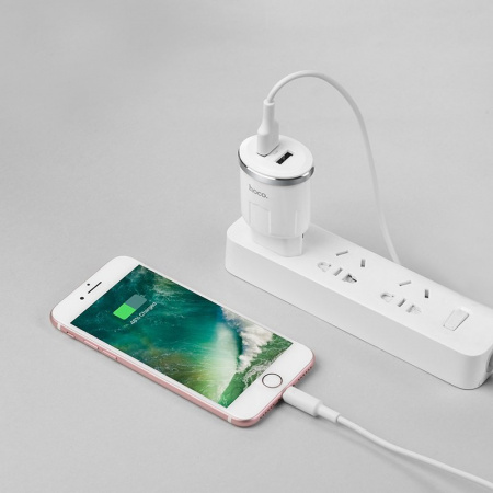 Сетевое зарядное устройство Hoco C38A, 2 USB, 2.4А