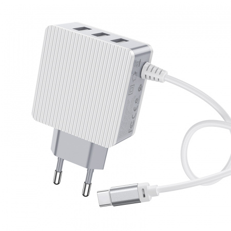 Зарядное устройство BOROFONE BA42A Joyful Type-C, 3.1A, белый