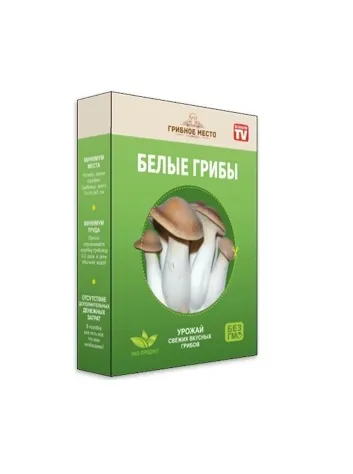 Домашняя грибная ферма Mushrooms Farm Белые грибы