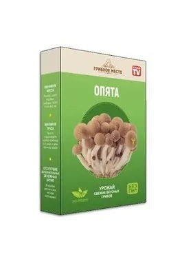 Домашняя грибная ферма Mushrooms Farm Опята