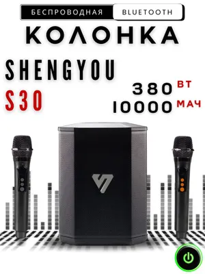 Bluetooth колонка Shengyou S30 с 2 микрофонами
